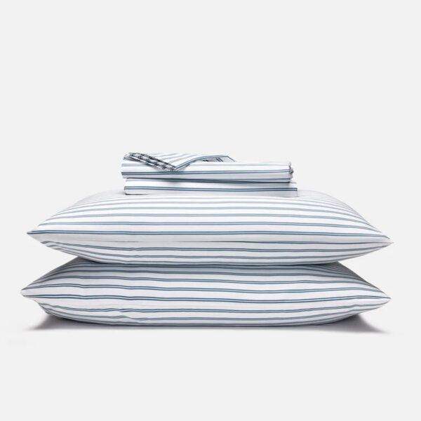 Flocked Artificial Christmas Tree